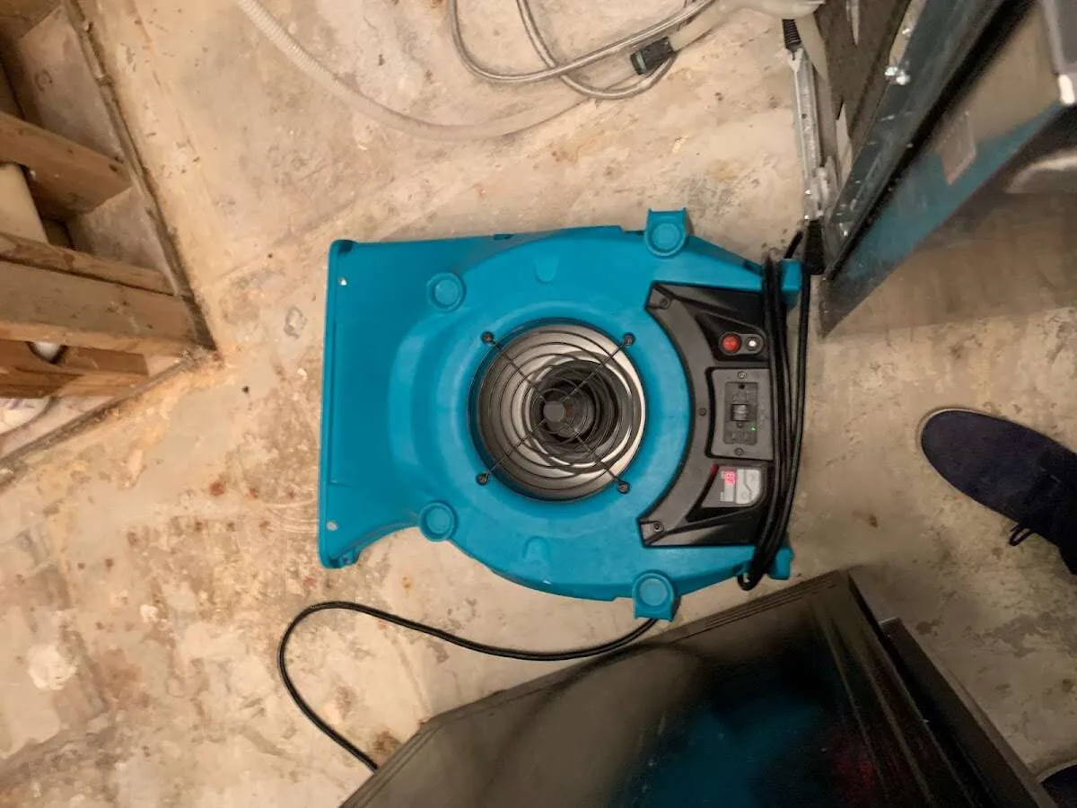 Air mover drying equipment for Mold Remediation & Removal in Coweta