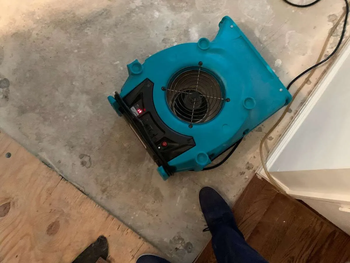 Air mover drying subfloor during Leak Detection & Repair in Coweta